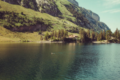 Appenzell13,Wandern, Landschaft, Berge