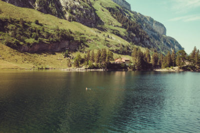 Appenzell13,Wandern, Landschaft, Berge